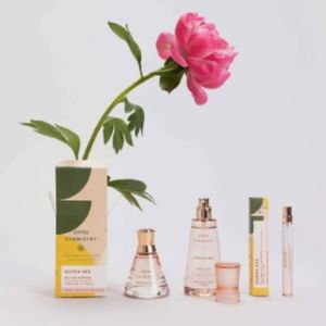 NEW Good Chemistry | Queen Bee Scent